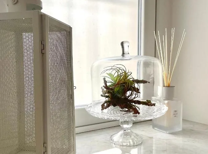 Luxury In The Heart Of Tropea- Residenza Aqualaguna 公寓 *